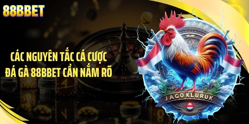Các nguyên tắc cá cược đá gà 88BBET cần nắm rõ