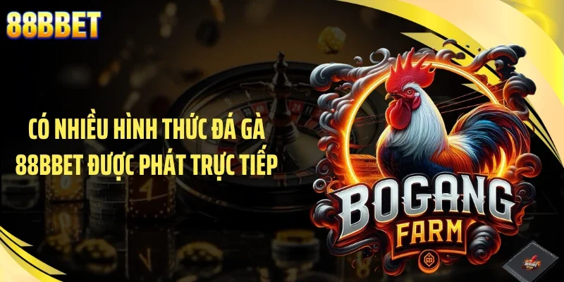 Có nhiều hình thức đá gà 88BBET được phát trực tiếp