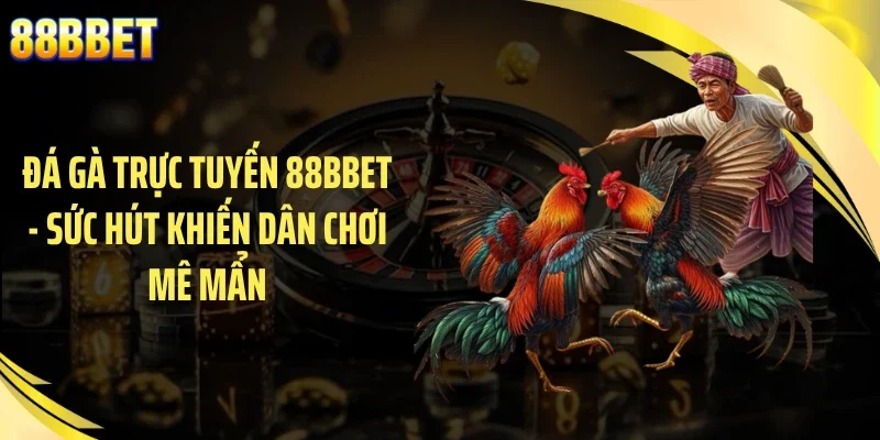 Đá Gà Trực Tuyến 88BBET - Sức Hút Khiến Dân Chơi Mê Mẩn