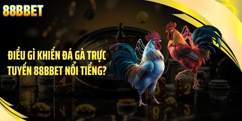 Điều gì khiến đá gà trực tuyến 88BBET nổi tiếng?
