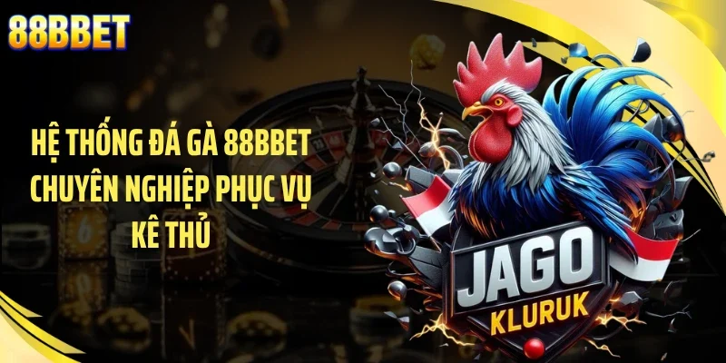 Hệ thống đá gà 88BBET chuyên nghiệp phục vụ kê thủ